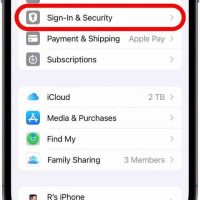 iPhone 设置里的登录与安全性入口